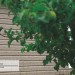 Сайдинг Ю-Пласт TIMBERBLOCK Пихта (Тимберблок) Cахалинская купить в Владимире